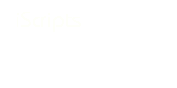 Video sharing & hosting script