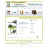 iScripts EasySnaps powered site - chfschool.com/chfacademy/portfolio