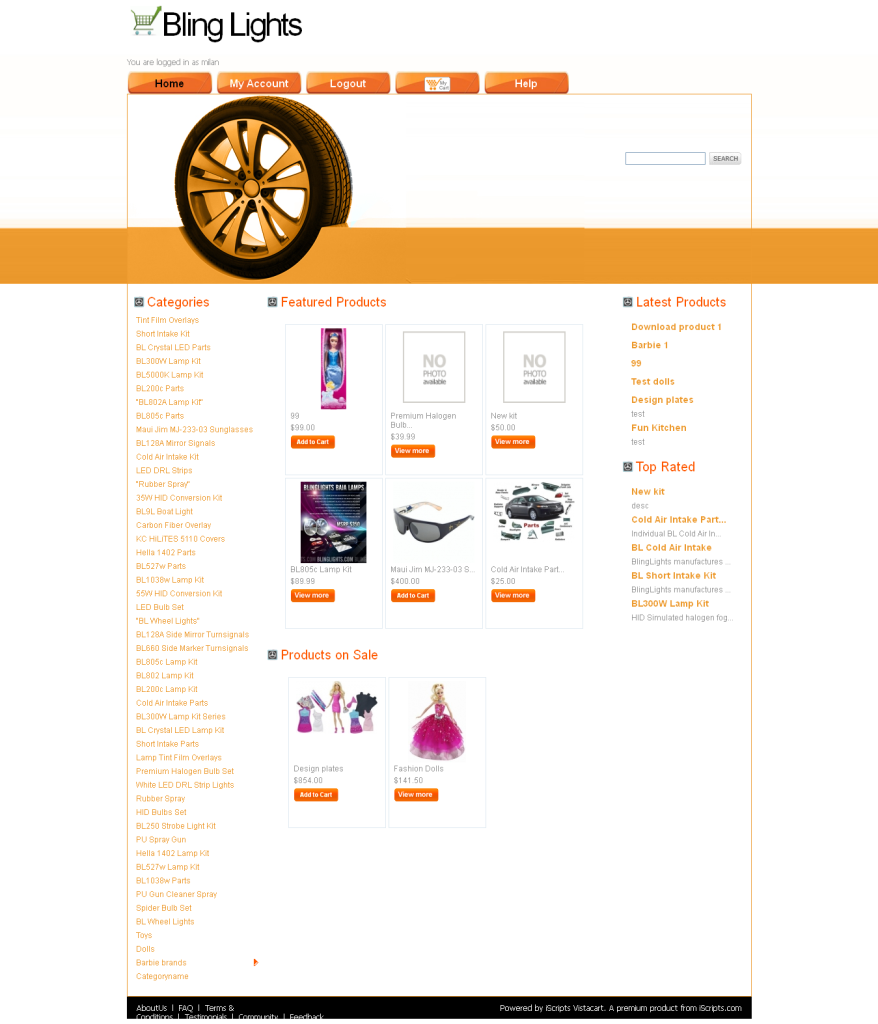 blinglights-automotive lighting accessories