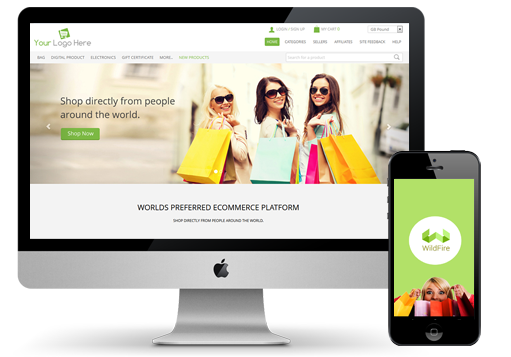 Grow a Profitable Online Store
